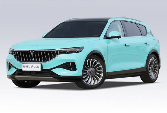 Pure Electric Vehicles, Plug-in Hybrid Electric Vehicles,Range-Extended Electric Vehicles Gasoline