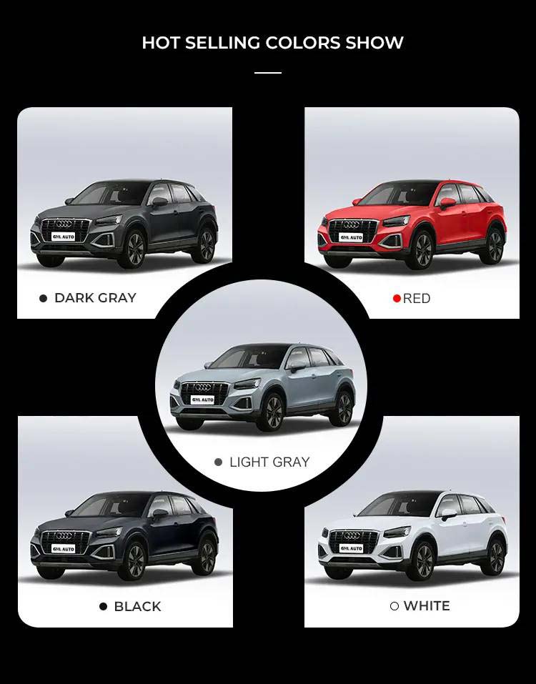 Audi q2l etron
