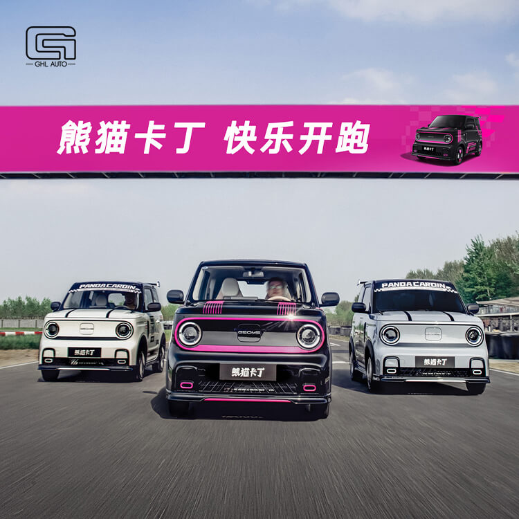 Panda 2024 200km Panda Kart Geely Pand LC mini EV 3 doors 4 seats mini ev
