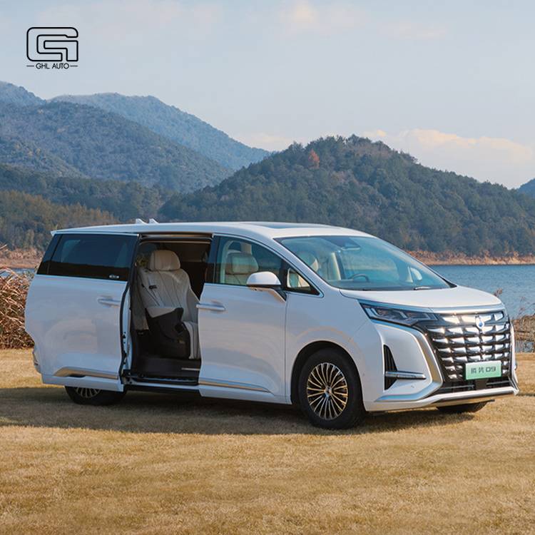 D9 MPV  Denza D9 EV
