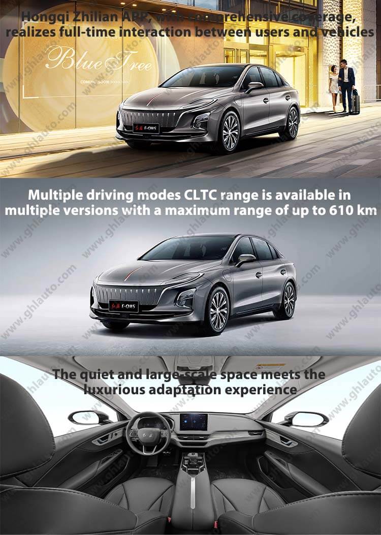 China Hongqi E-QM5 car
