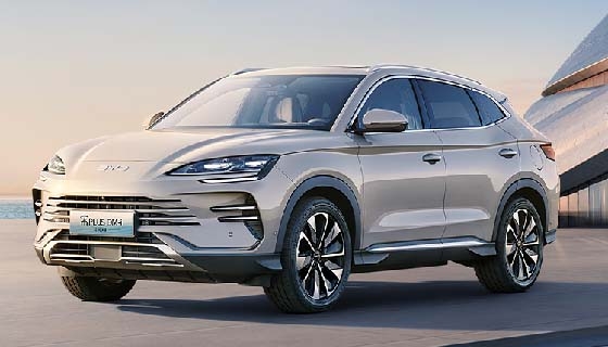 Cumulative sales ranking of the automotive market as of the 43rd week of 2024