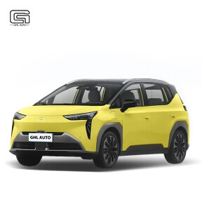 Aion Y Plus China Electric Vehicles Aion Y EV Max Mileage 610km Yellow For Sale