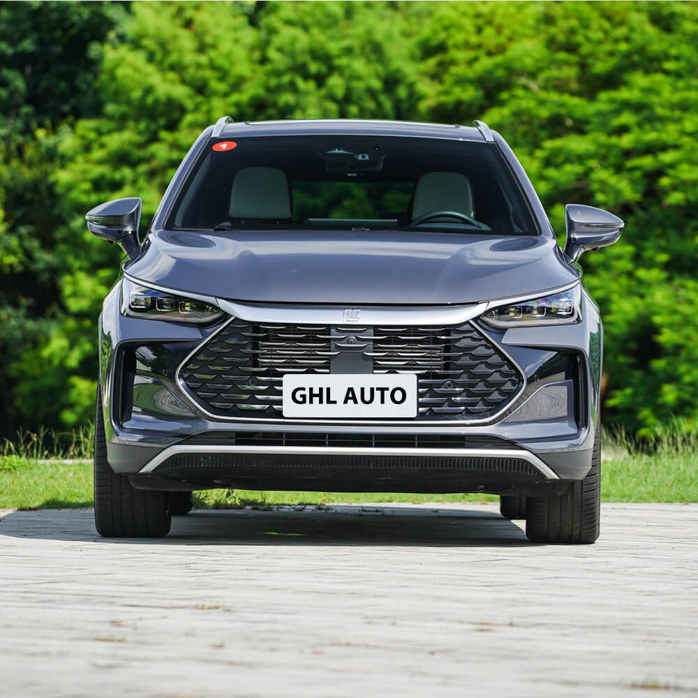 Tang DM 2024 DM-p Champion Edition 215KM 4WD Exclusive #92 Gas plug-in hybrid 5-door 7-seater SUV