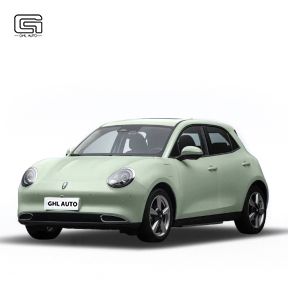GWM Ora Good Cat Compact EV 2024 501km Long Range Honorable Lithium Iron Phosphate