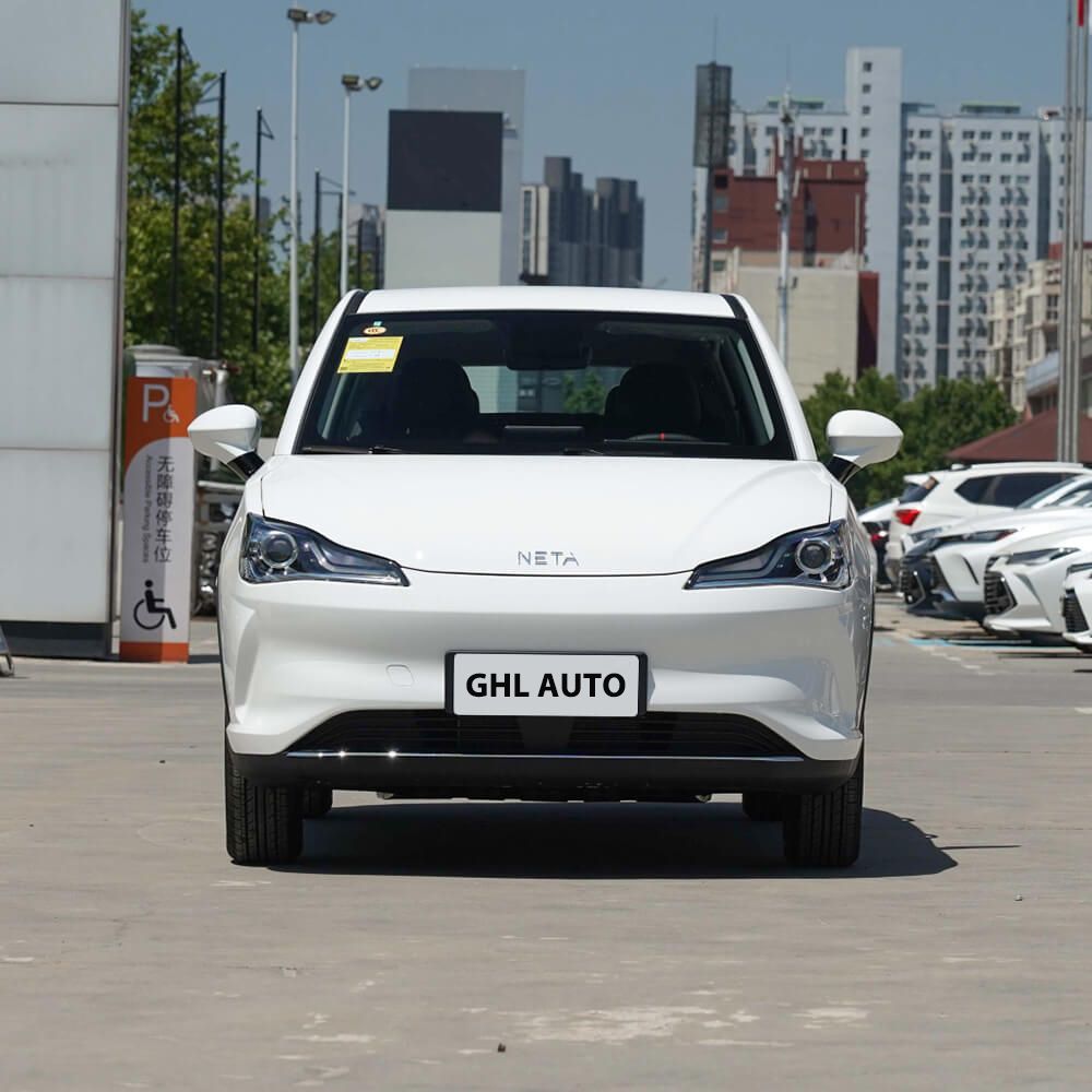 Neta V Chao 300 Industry Elite 6 Versions Cost-effective China Electric Vehicle Small SUV
