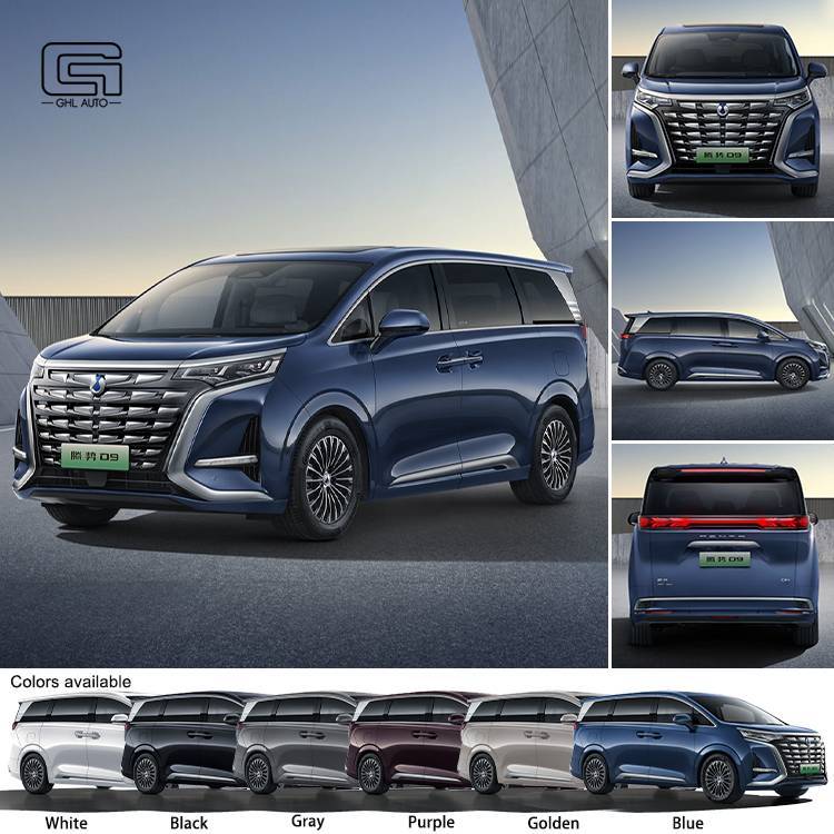 Denza D9 EV Tengshi High Performance New Energy MPV