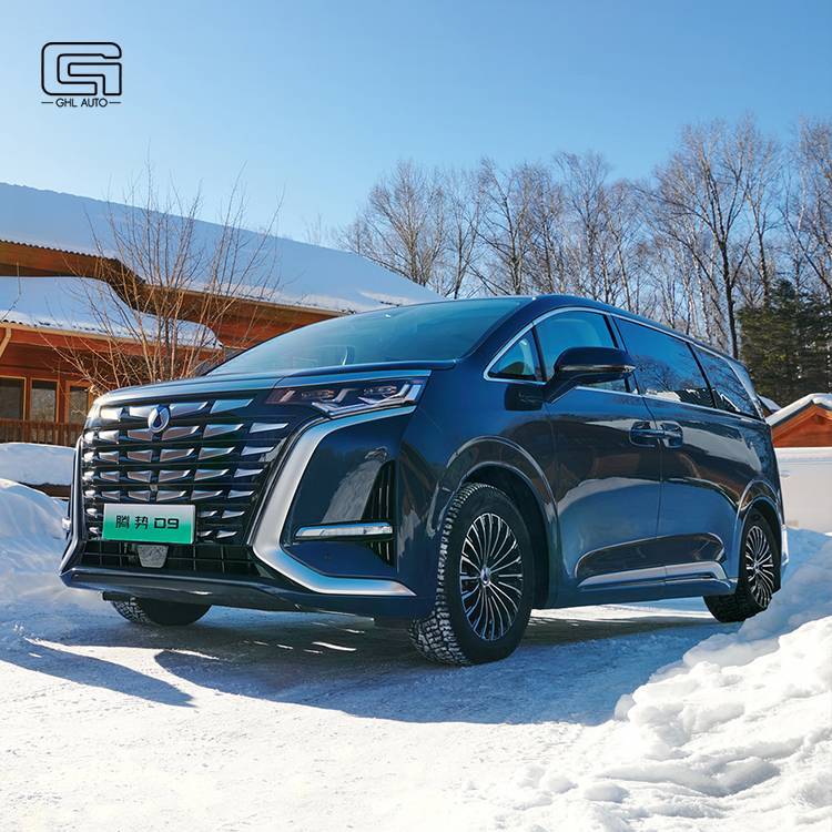 Denza D9 EV Tengshi High Performance New Energy MPV