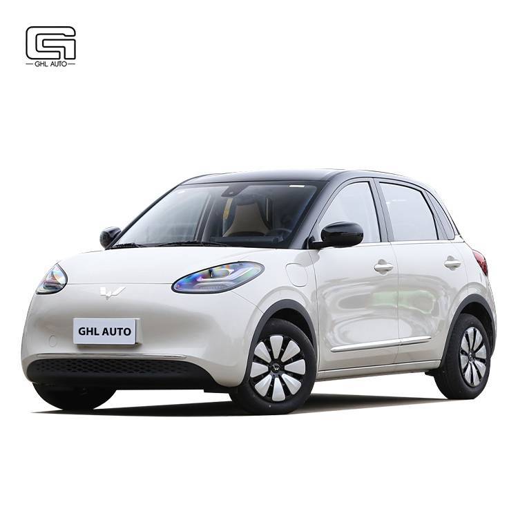 Wuling Bingo Small EV mini electric car Pure electric Range 200-410km