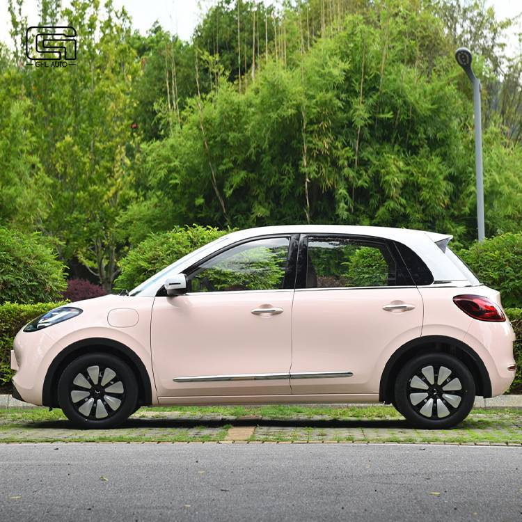 Wuling Bingo Small EV mini electric car Pure electric Range 200-410km