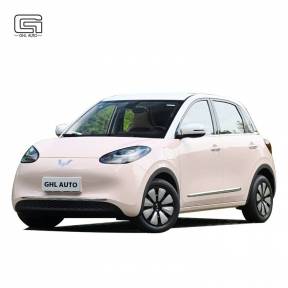 Wuling Bingo Small EV mini electric car Pure electric Range 200-410km