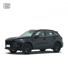China Auto Brand Hongqi HS5 2025 2.0T 4WD Shadow 2WD Gas SUV