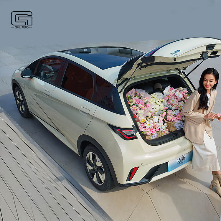 BYD dolphin 2025 mini ev car pure EV Car hatchback Electric EV Car byd dolphin
