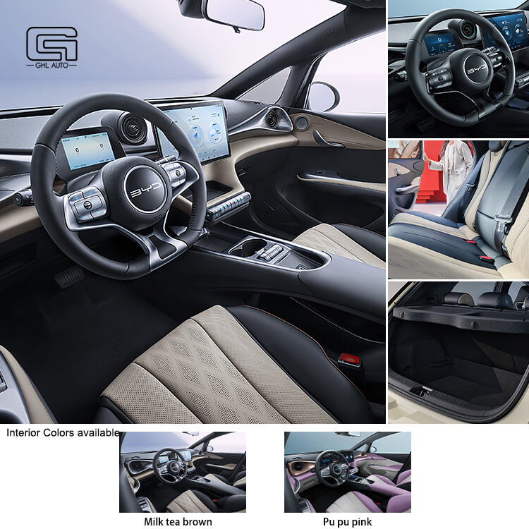 BYD dolphin 2025 mini ev car pure EV Car hatchback Electric EV Car byd dolphin