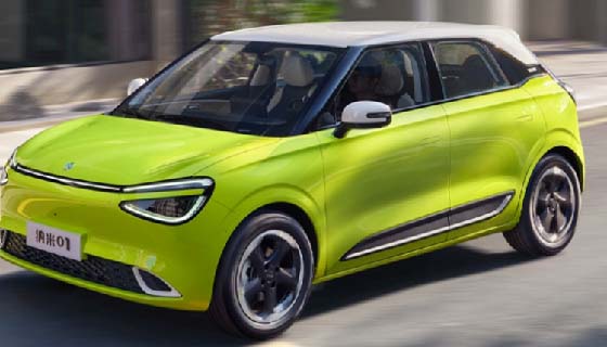 Nano 01 Small EV
